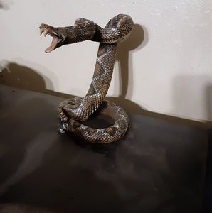 Meet your Posher, Dallas